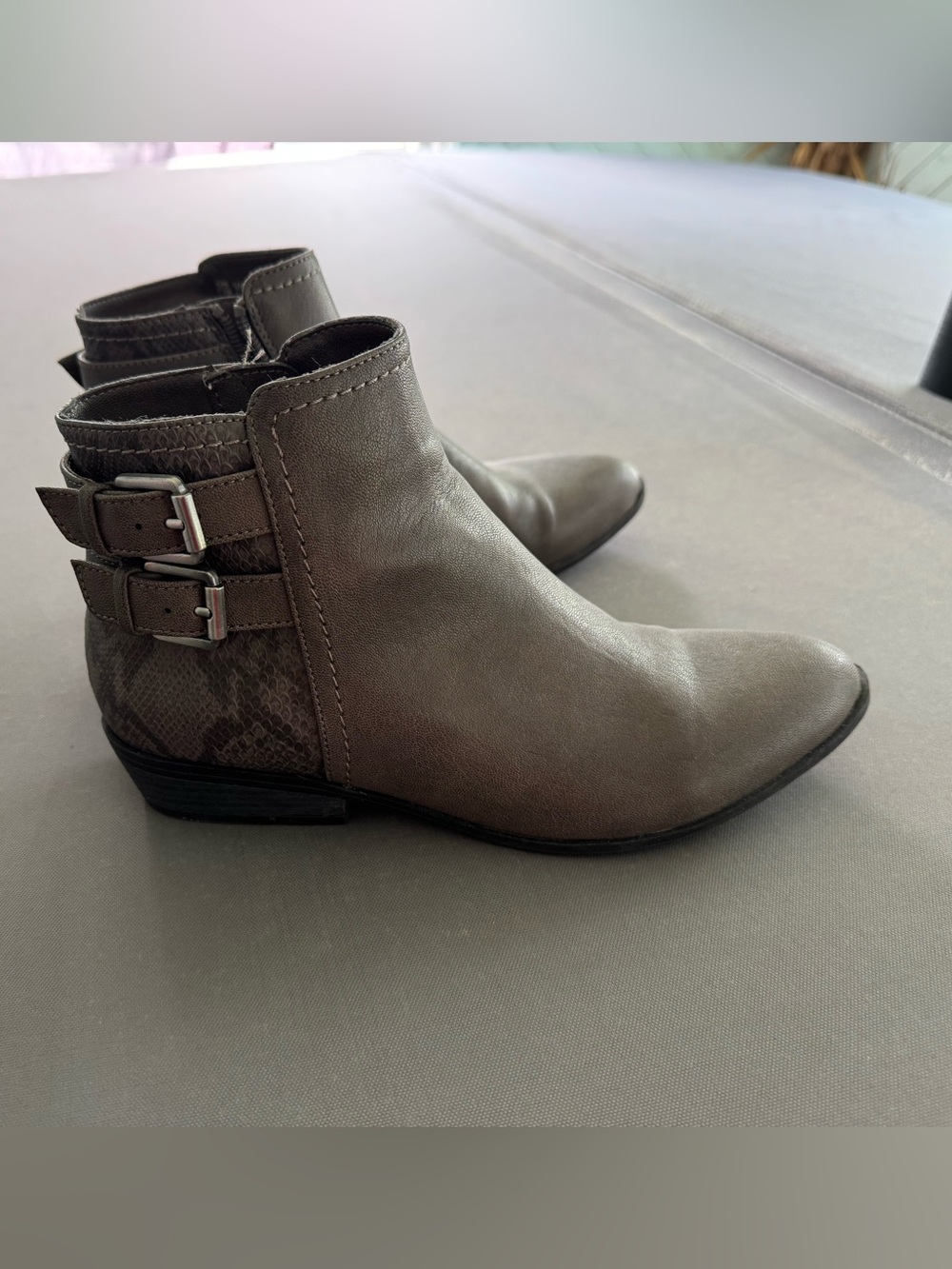 Women's Ankle Boots with Buckle & snake skin Detail - Dark Taupe DSW Helena